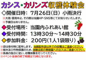 カシスカリンズ2026