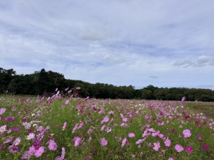 IMG_3644